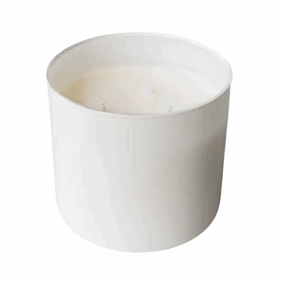 You Are Blessed and Highly Favored